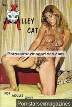 Adult magazine Alley Cat 1 (1960s)